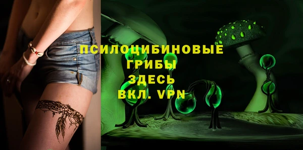 трава Гусиноозёрск