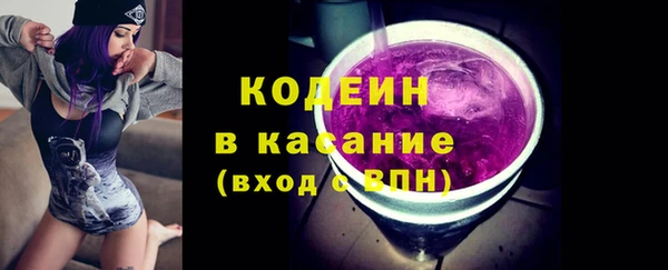 трава Гусиноозёрск