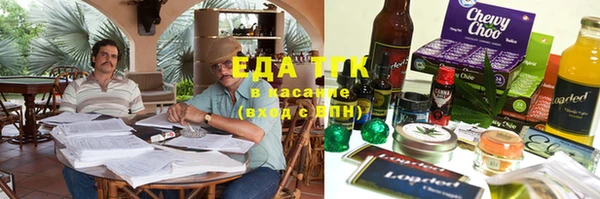 гидра Елабуга