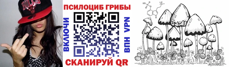 Галлюциногенные грибы Psilocybine cubensis  Жуковский 